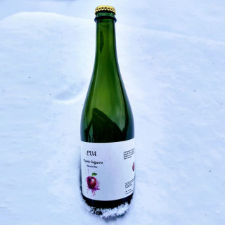 Sidra del Sur  Cidre EVA Brut Apfelschaumwein 0,75 l