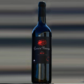 Verdevique Tinto 2020 Crianza Rotwein Naturwein Bio 0,75 l